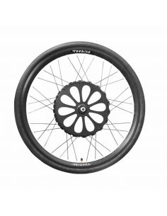 Roue Reebike Cosmopolit - Teebike 2