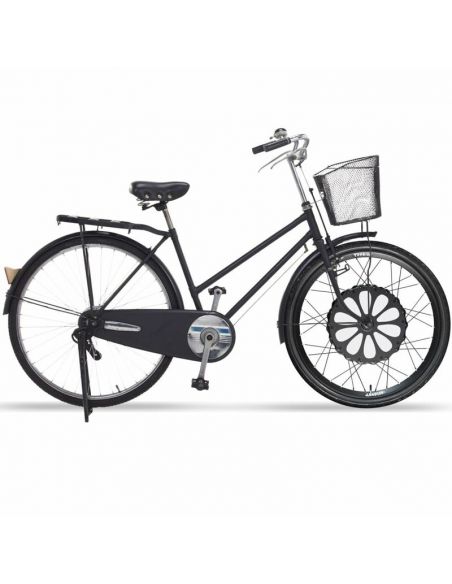 Roue Reebike Cosmopolit - Teebike