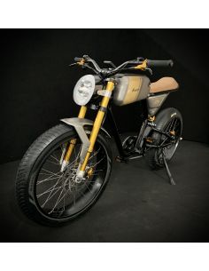 Vélo Electrique E Racer Bi-Place - Sma 2