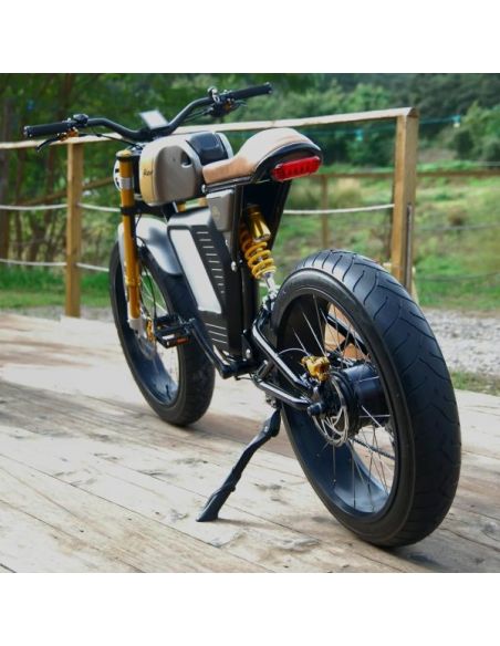 Vélo Electrique E Racer Bi-Place - Sma